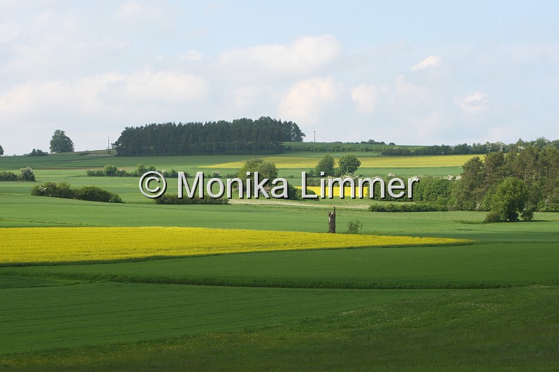 095L9900_bei Weismain.JPG